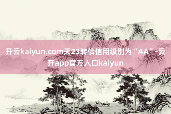 开云kaiyun.com天23转债信用级别为“AA”-云开a