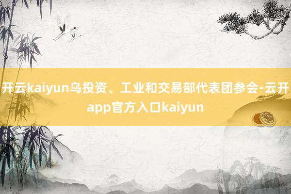 开云kaiyun乌投资、工业和交易部代表团参会-云开app官