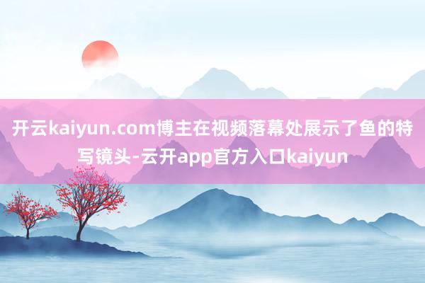 开云kaiyun.com博主在视频落幕处展示了鱼的特写镜头-云开app官方入口kaiyun