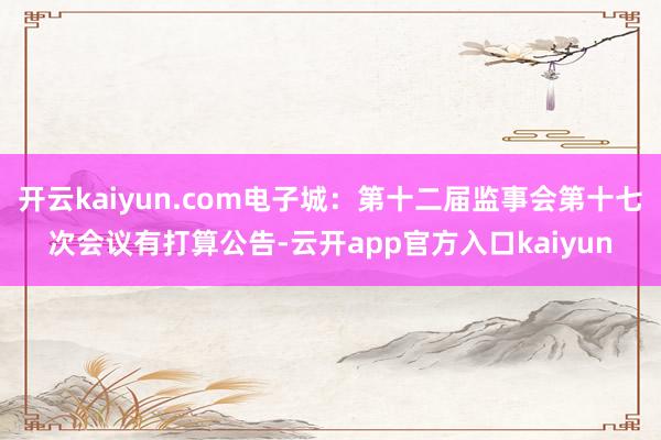 开云kaiyun.com电子城：第十二届监事会第十七次会议有