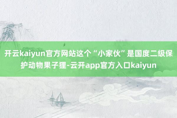 开云kaiyun官方网站这个“小家伙”是国度二级保护动物果子狸-云开app官方入口kaiyun