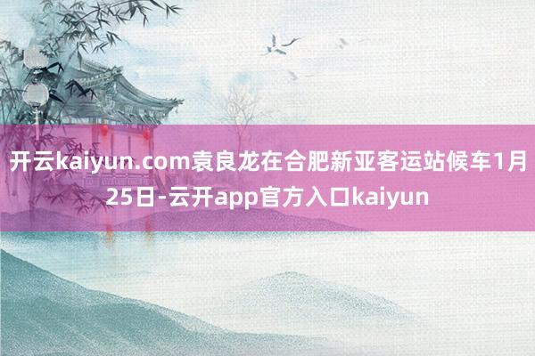 开云kaiyun.com袁良龙在合肥新亚客运站候车1月25日-云开app官方入口kaiyun
