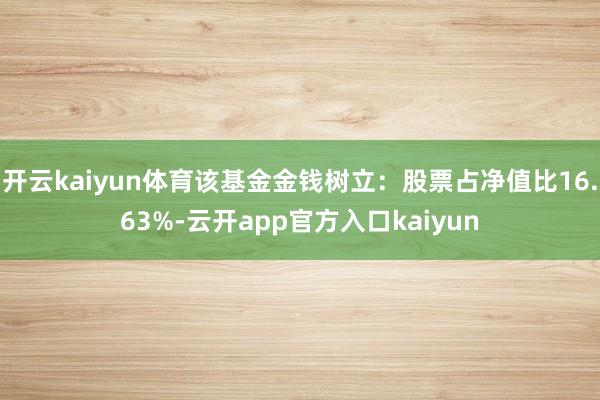 开云kaiyun体育该基金金钱树立：股票占净值比16.63%-云开app官方入口kaiyun
