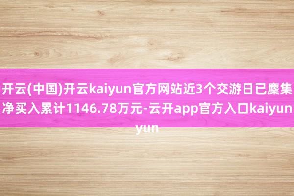 开云(中国)开云kaiyun官方网站近3个交游日已麇集净买入