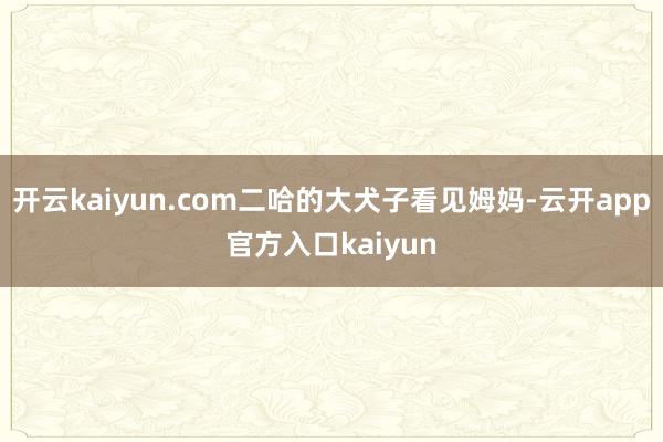 开云kaiyun.com二哈的大犬子看见姆妈-云开app官方