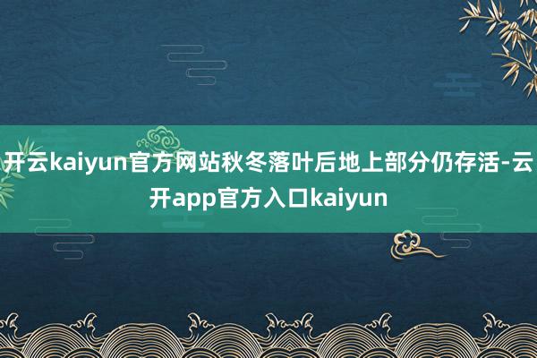 开云kaiyun官方网站秋冬落叶后地上部分仍存活-云开app